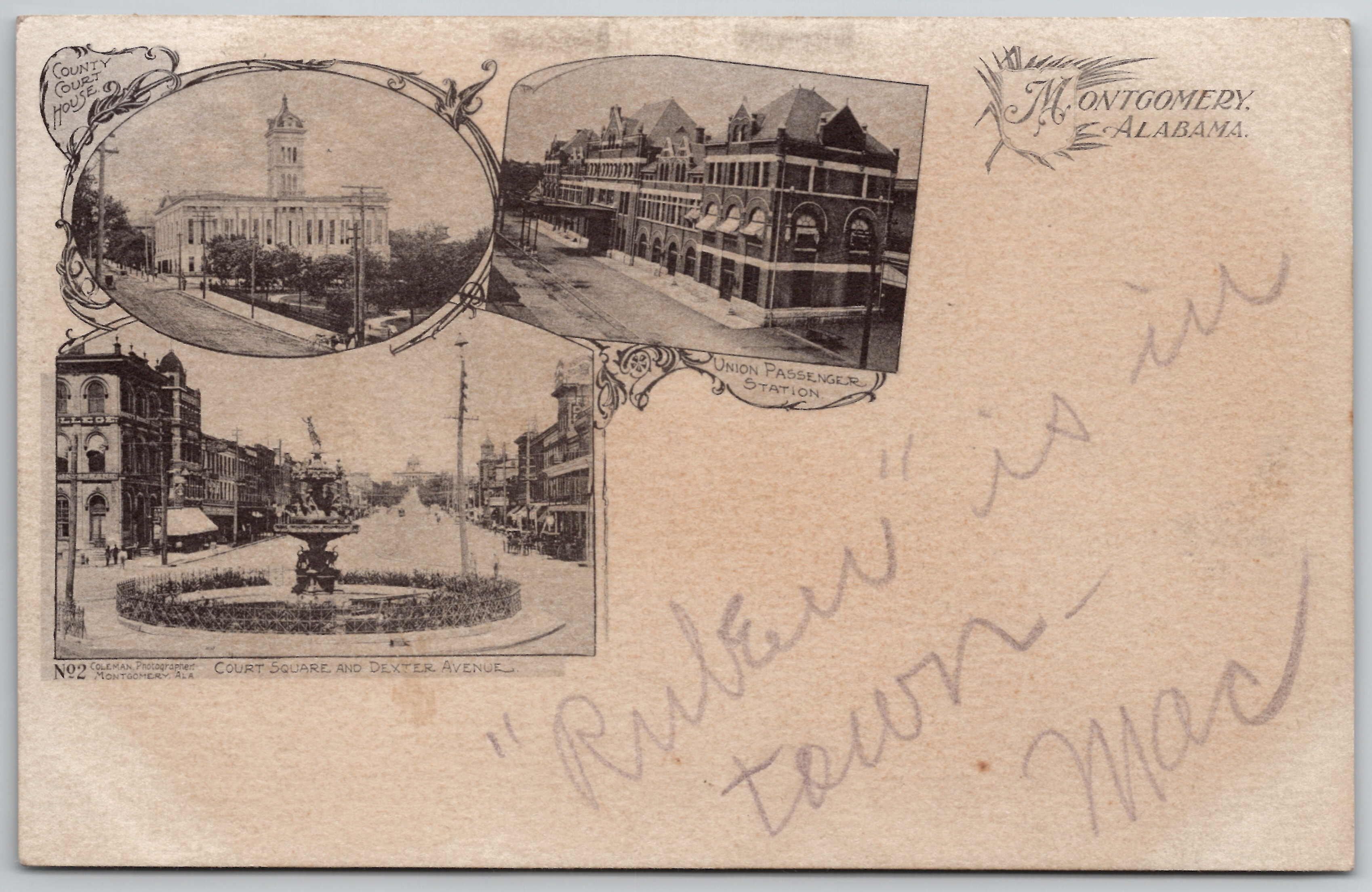 Undivided back multiview - front